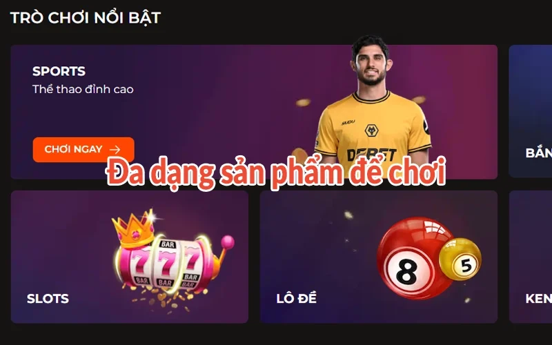 Đa dạng sản phẩm để chơi