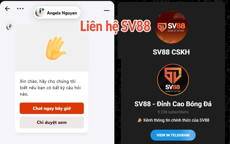 Liên hệ SV88
